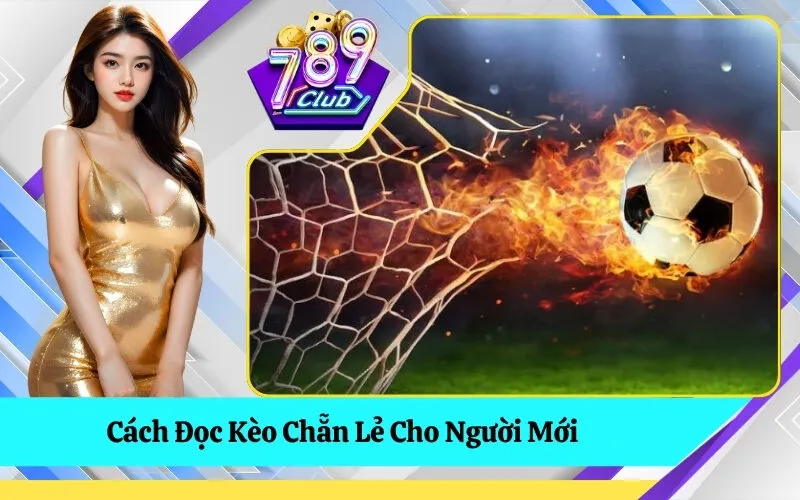 Cách Đọc Kèo Chẵn Lẻ Cho Người Mới