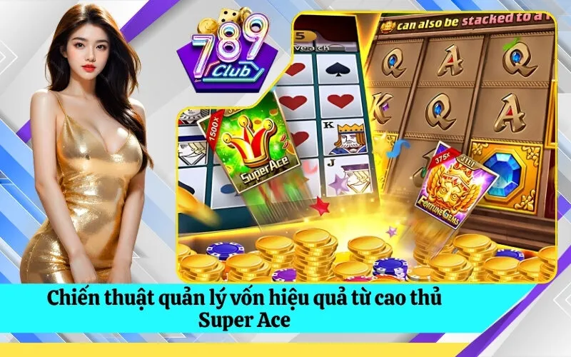 Chiến thuật quản lý vốn hiệu quả từ cao thủ Super Ace