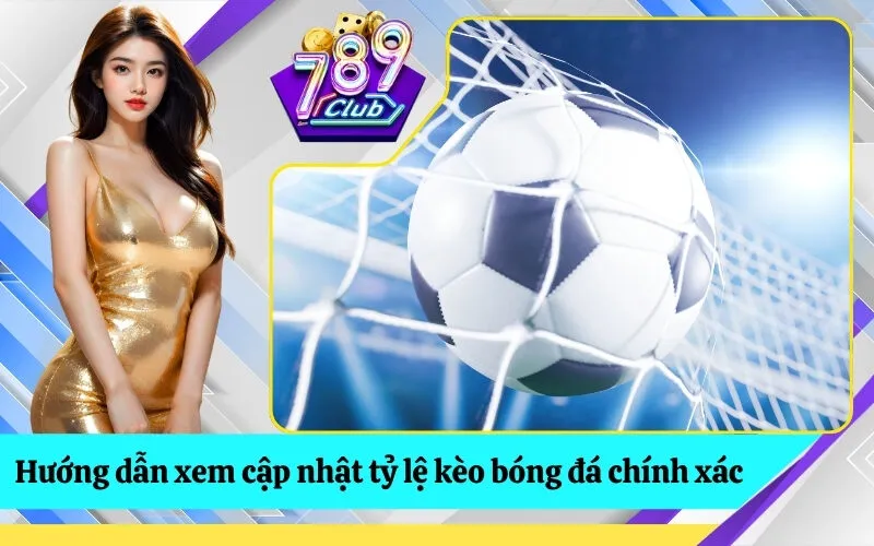 Hướng dẫn xem cập nhật tỷ lệ kèo bóng đá chính xác